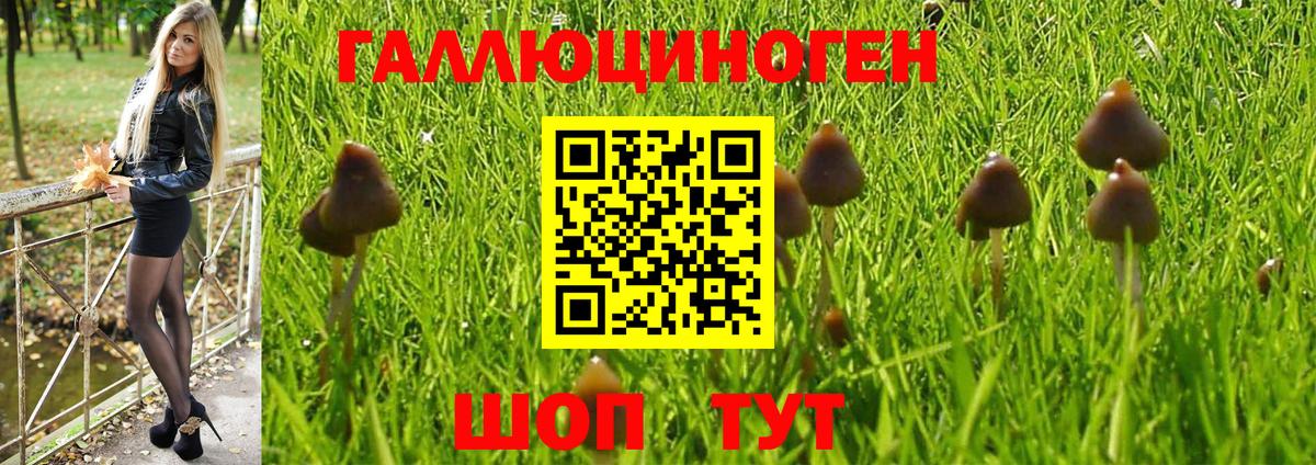 Галлюциногенные грибы MAGIC MUSHROOMS  Вход с VPN  Галлюциногенные грибы Cubensis  Северодвинск 