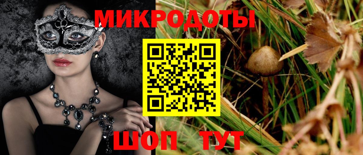 Псилоцибиновые грибы мицелий Северодвинск